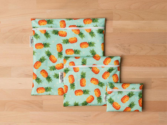 Pineapples Travel Soap & Toothbrush Pouch